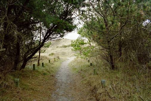 ein Bild von Wangerooge