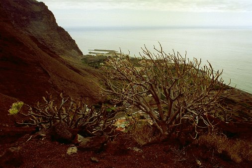 ein Bild von Gomera