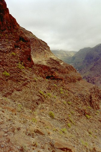 ein Bild von Gomera