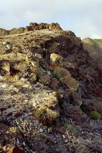 ein Bild von Gomera