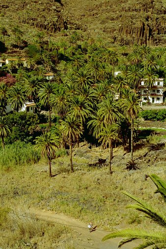 ein Bild von Gomera