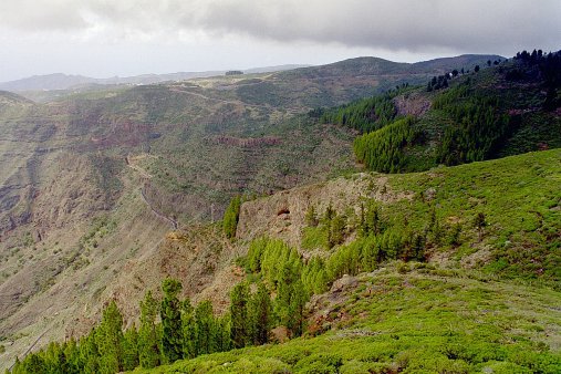 ein Bild von Gomera