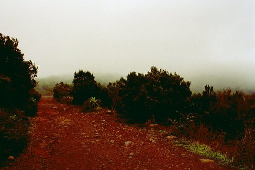 ein Bild von Gomera