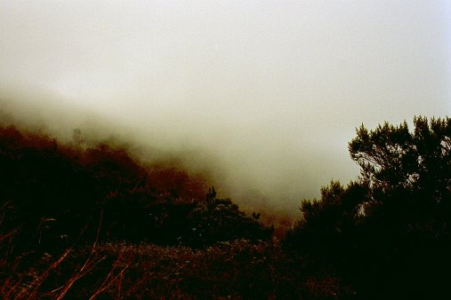 ein Bild von Gomera